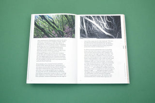 With love from an invader. - Rhododendrons, Empire, China and Me