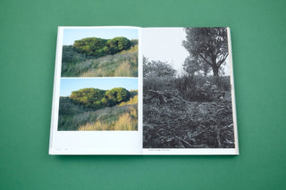 With love from an invader. - Rhododendrons, Empire, China and Me