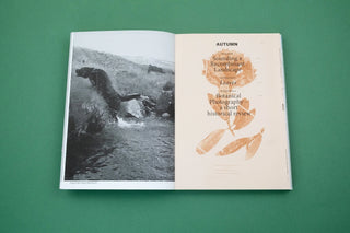 With love from an invader. - Rhododendrons, Empire, China and Me