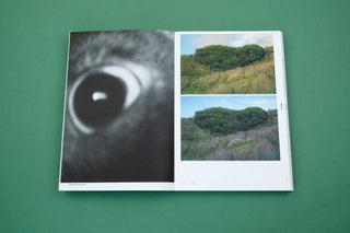 With love from an invader. - Rhododendrons, Empire, China and Me