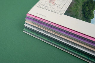 With love from an invader. - Rhododendrons, Empire, China and Me