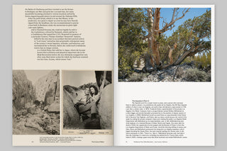 The Course of Water — Fieldnotes from California’s Owens Valley
