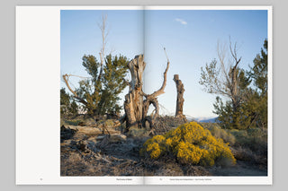 The Course of Water — Fieldnotes from California’s Owens Valley