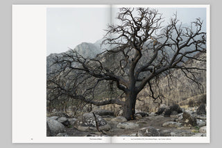 The Course of Water — Fieldnotes from California’s Owens Valley