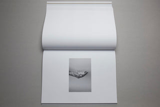 The line of water - Sara Palmieri