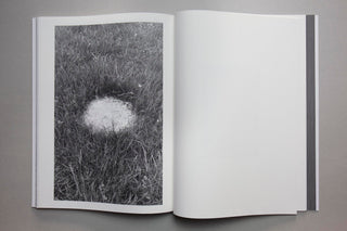 The line of water - Sara Palmieri