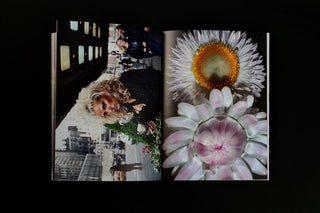 What if Jeff were a Butterfly? - Jeff Mermelstein