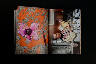 What if Jeff were a Butterfly? - Jeff Mermelstein