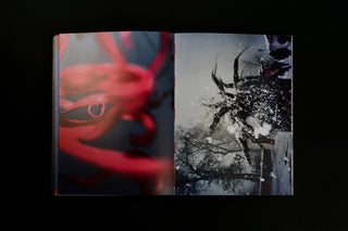 What if Jeff were a Butterfly? - Jeff Mermelstein