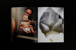 What if Jeff were a Butterfly? - Jeff Mermelstein