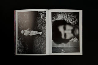 What if Jeff were a Butterfly? - Jeff Mermelstein