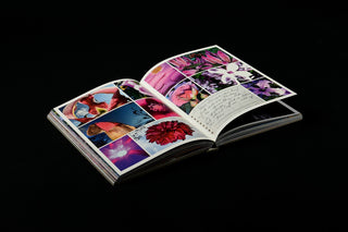 What if Jeff were a Butterfly? - Jeff Mermelstein