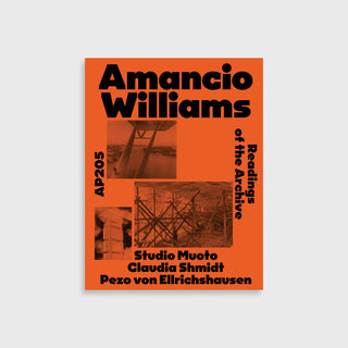 Amancio Williams: AP205
