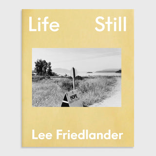 Life Still, Lee Friedlander