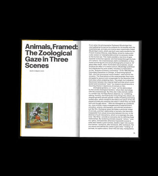 Zoo Index - Reader (Volume 1)