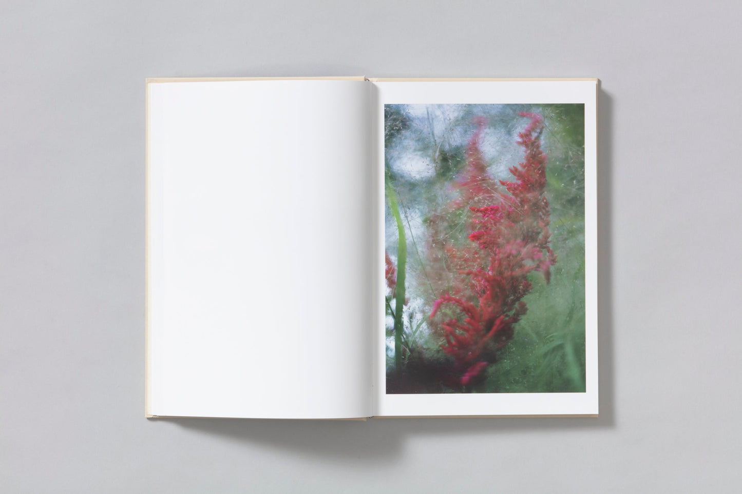 PRE-SALE : A SEASON PARTICULAR- SHEN WEI