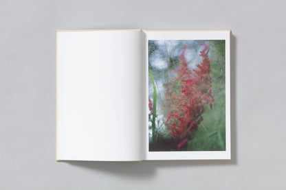 PRE-SALE : A SEASON PARTICULAR- SHEN WEI